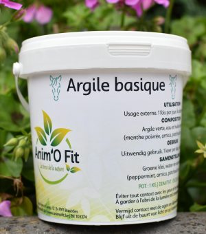 Argile basique - 1 kg