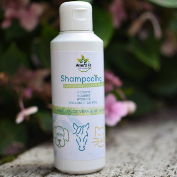 Shampooing - 250 ml