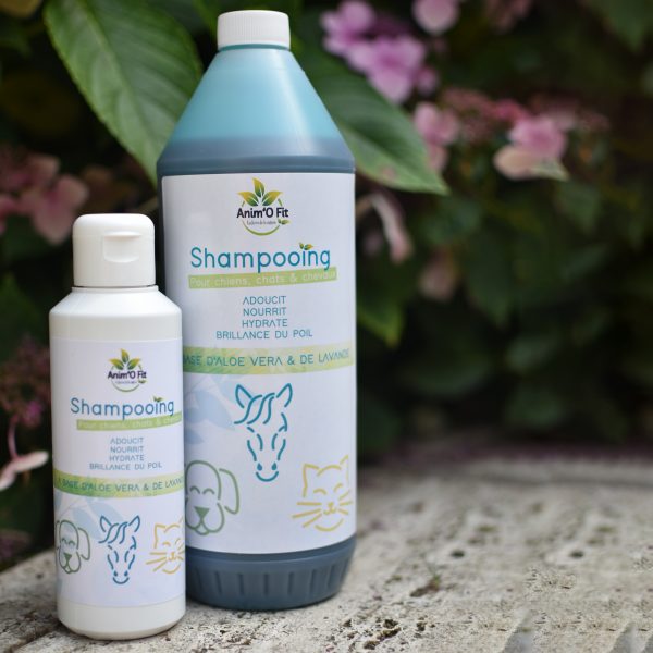 Shampooing - 250 ml et 1 l