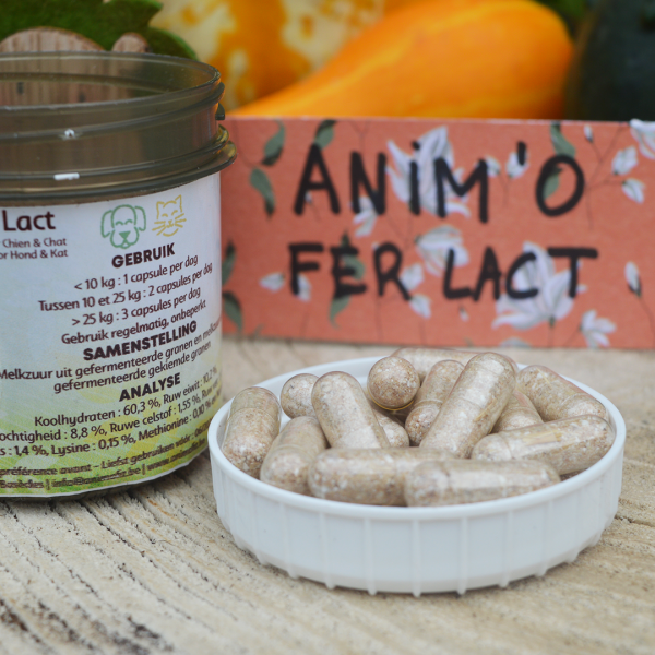 Pack Automne - Anim'O Fer Lact